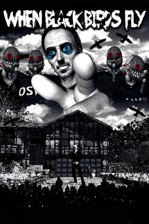 When Black Birds Fly постер