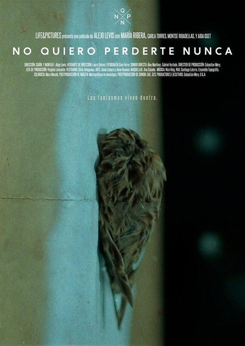 No quiero perderte nunca постер