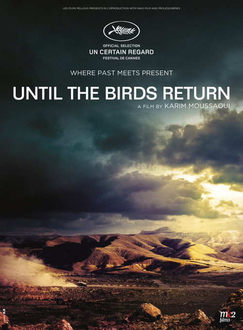 Until The Birds Return постер