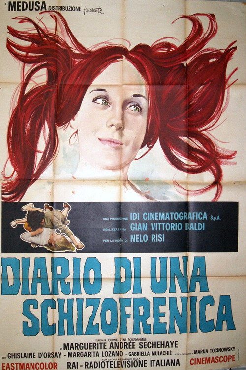 Diary of a Schizophrenic Girl постер