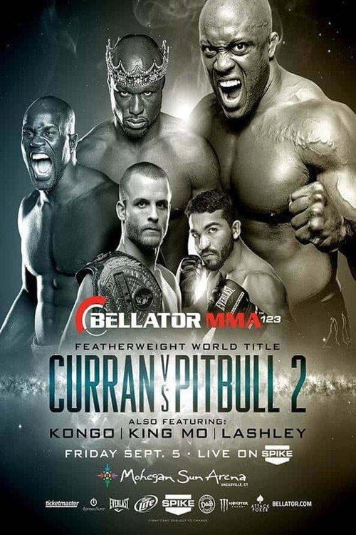 Bellator 123 постер