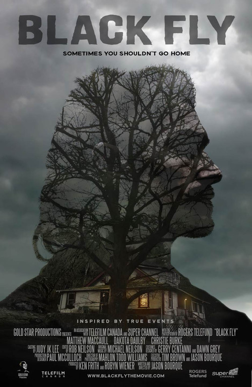 Черные птицы постер