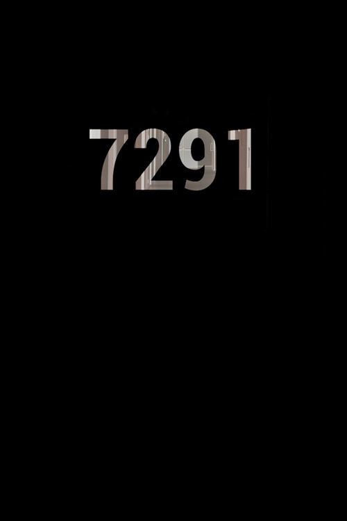 7291 постер