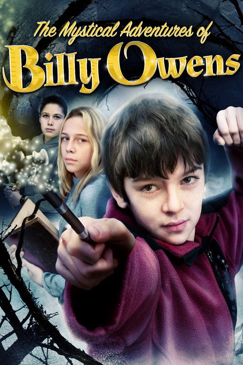 The Mystical Adventures of Billy Owens постер