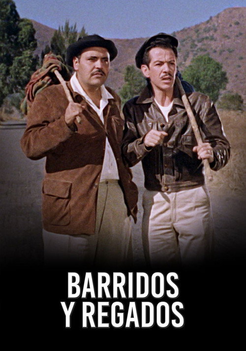 Barridos y regados постер