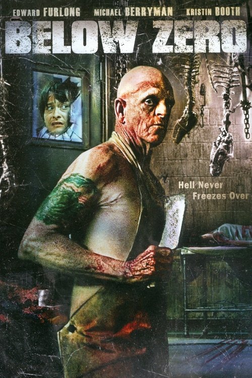 Ниже нуля постер