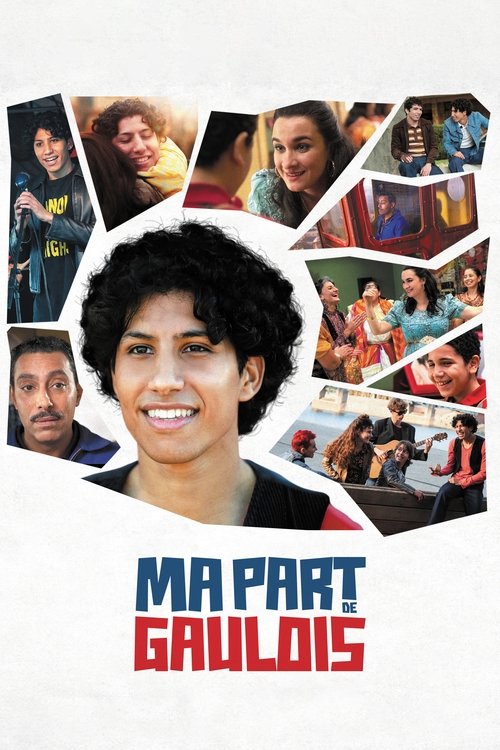 Ma part de Gaulois постер