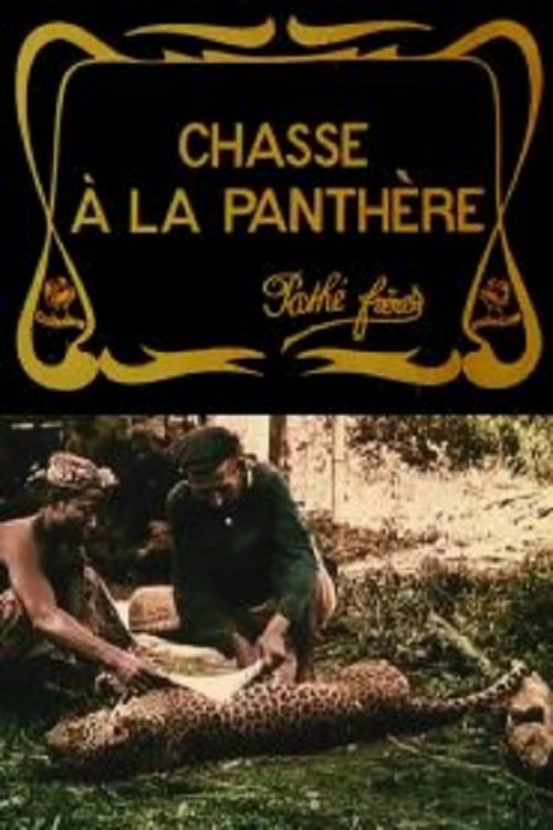 Chasse à la panthère постер