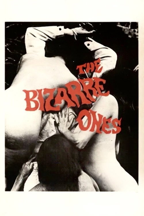 The Bizarre Ones постер