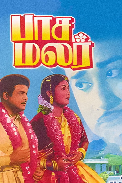 பாசமலர் постер