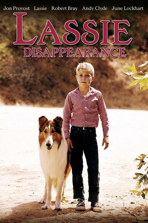 Lassie: Disappearance постер