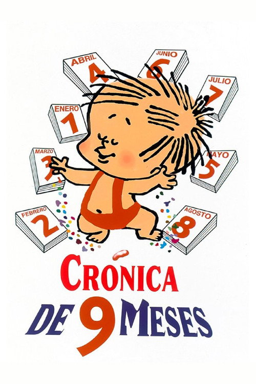 Crónica de nueve meses постер