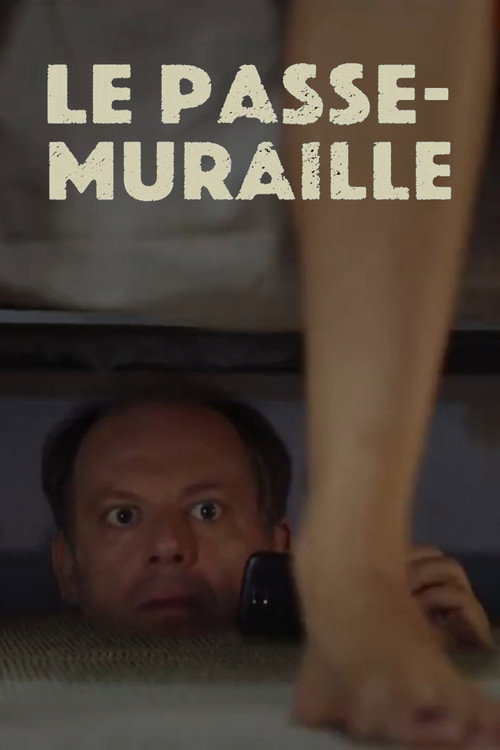 Le passe-muraille постер