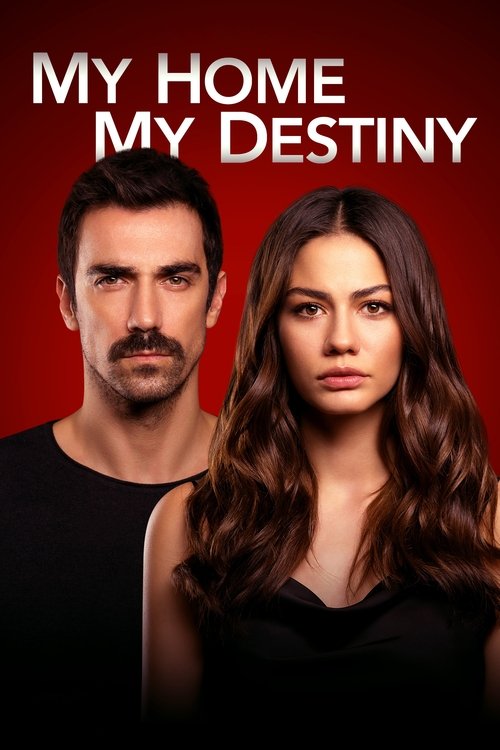 My Home My Destiny постер