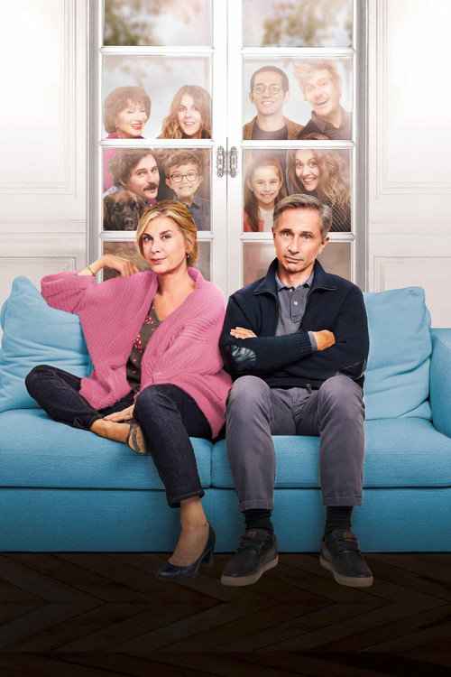 Joyeuse retraite ! постер