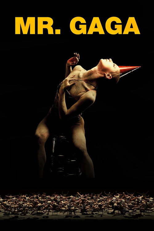 מיסטר גאגא постер