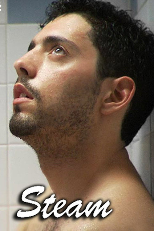 Steam постер