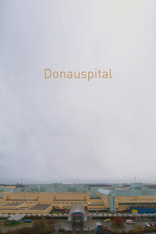 Donauspital постер