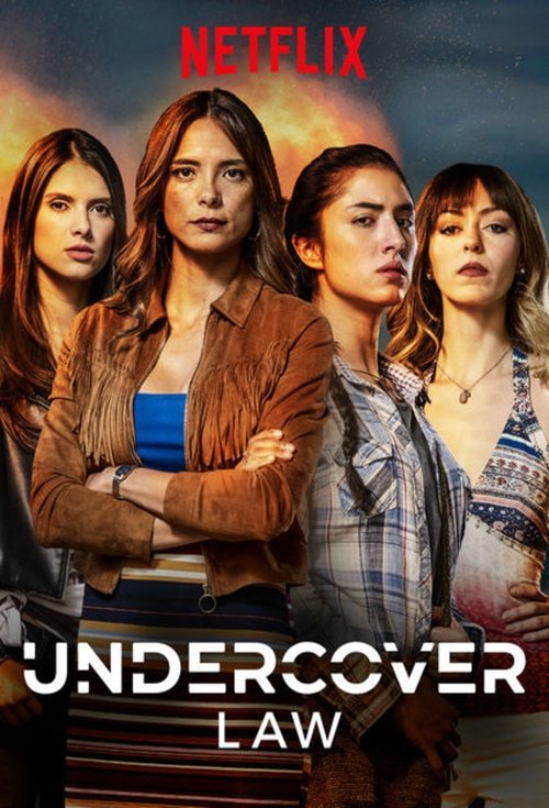 Undercover Law постер