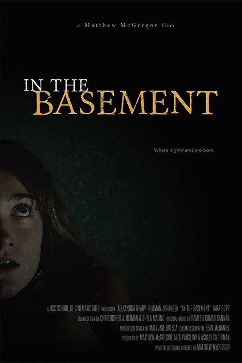In the Basement постер