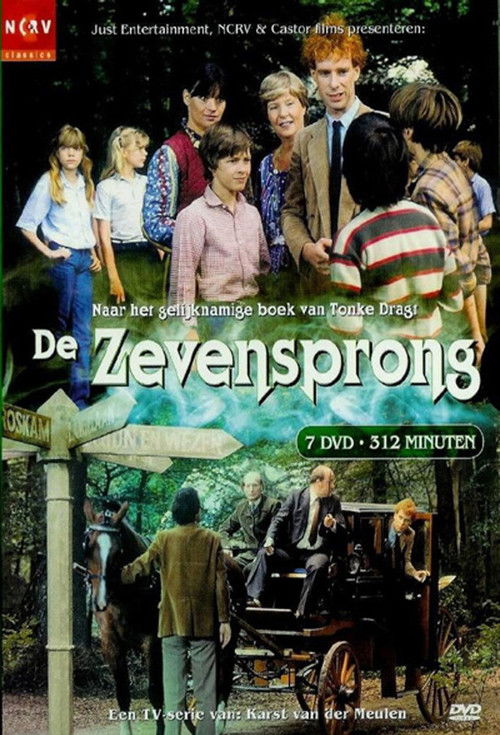 De Zevensprong постер
