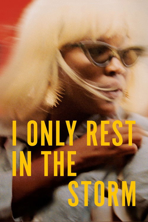 I Only Rest in the Storm постер