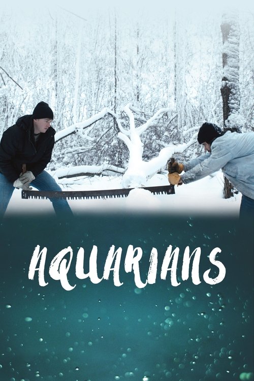 Aquarians постер