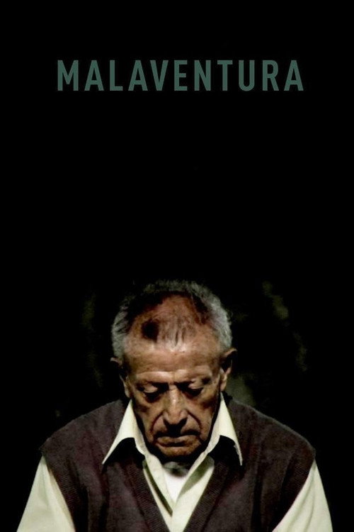 Malaventura постер