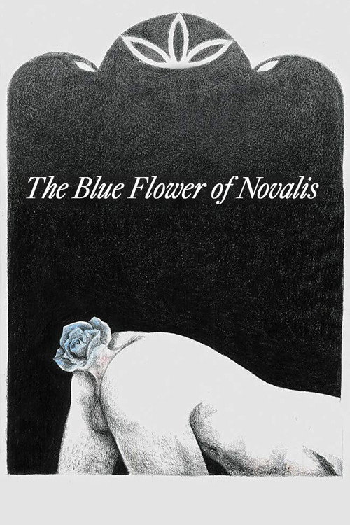 A Rosa Azul de Novalis постер