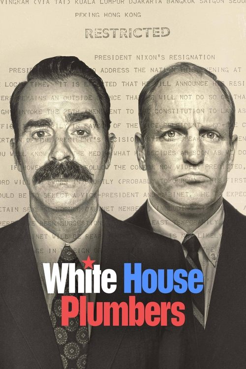 White House Plumbers постер