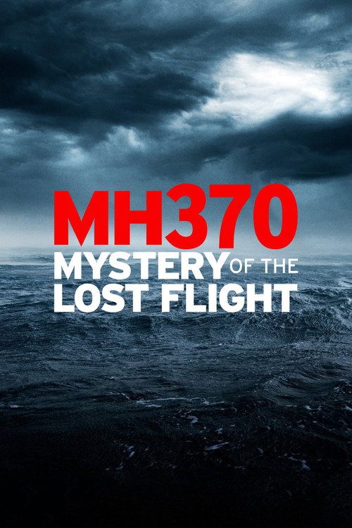 MH370: Mystery of the Lost Flight постер