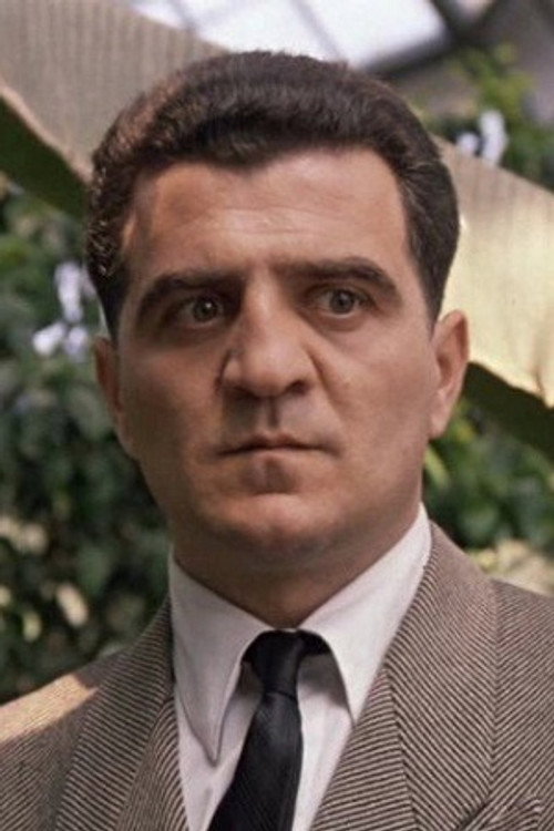 Амиран Амиранашвили (II)