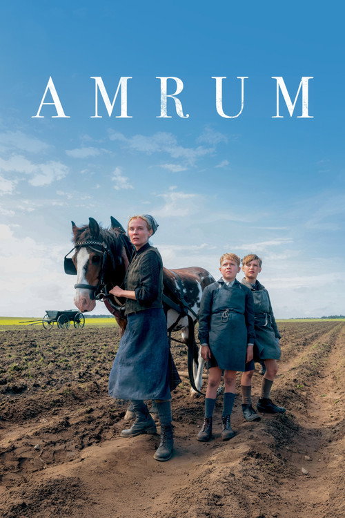 Amrum постер