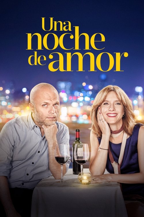 Una noche de amor постер