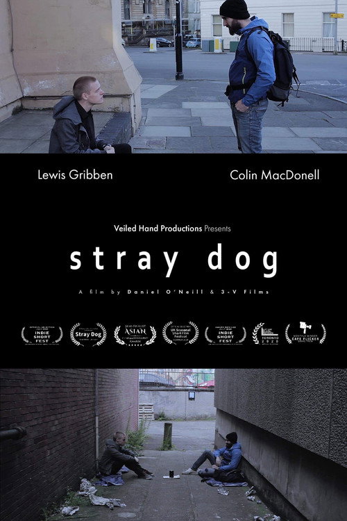 Stray Dog постер