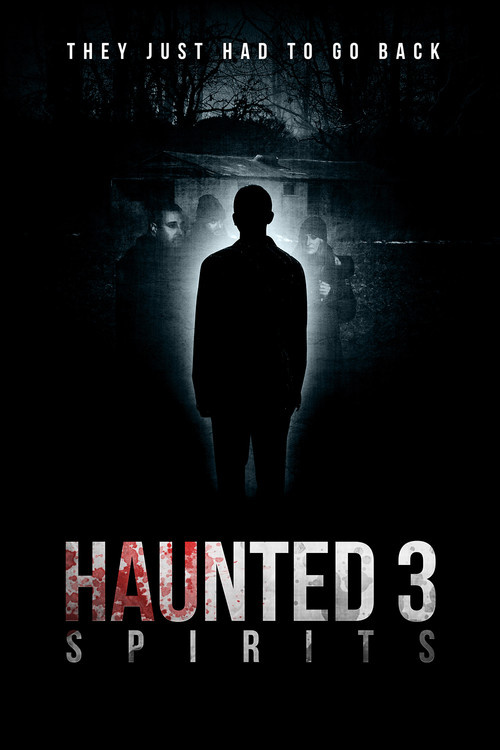 Haunted 3: Spirits постер