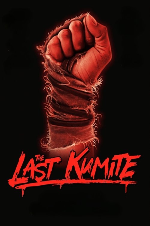 The Last Kumite постер