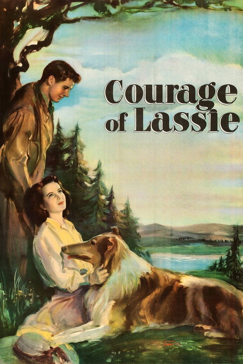 Courage of Lassie постер