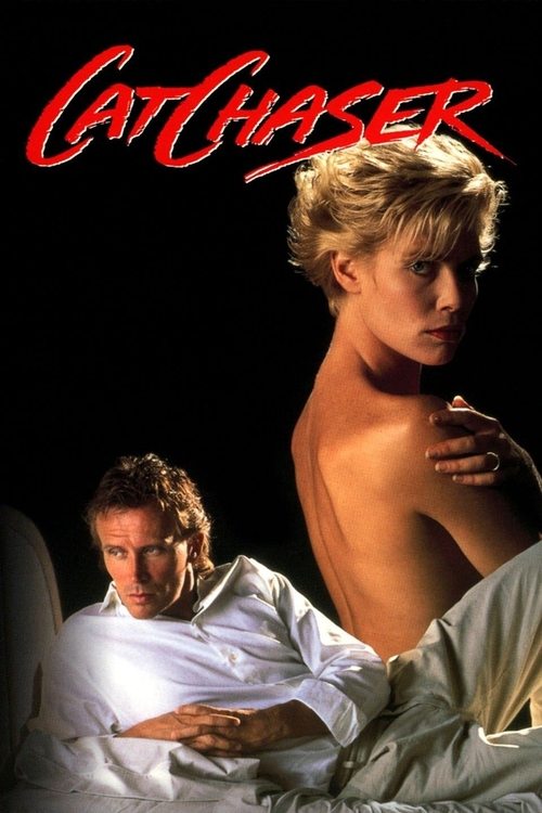 Котяра постер