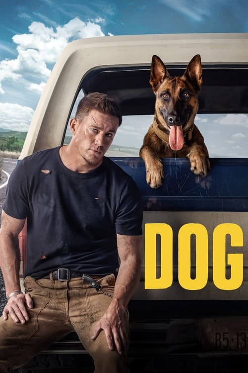 Dog постер