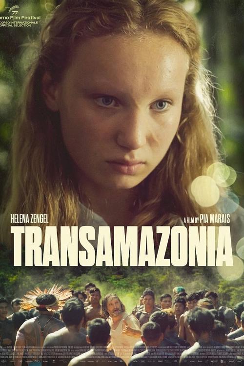 Transamazonia постер