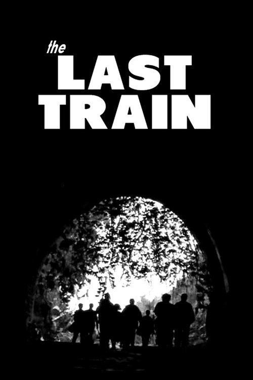 The Last Train постер
