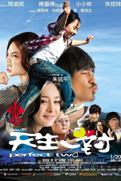 新天生一對 постер