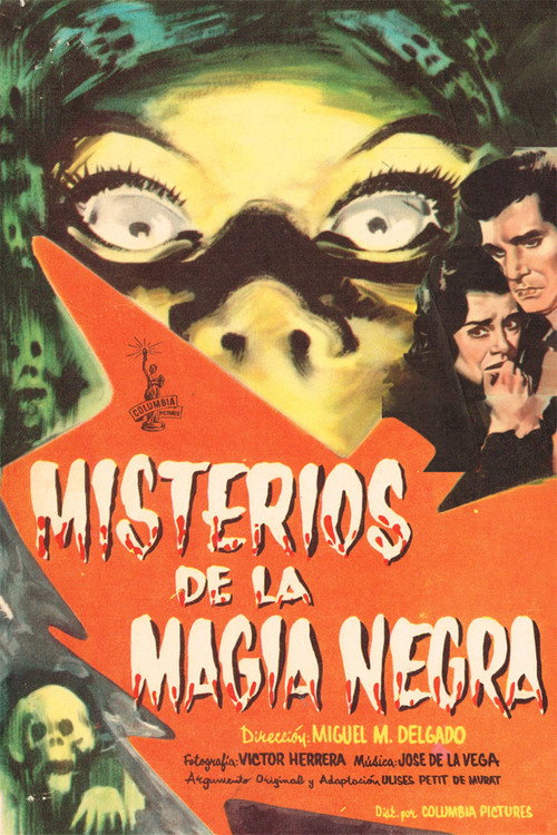 Misterios de la magia negra постер