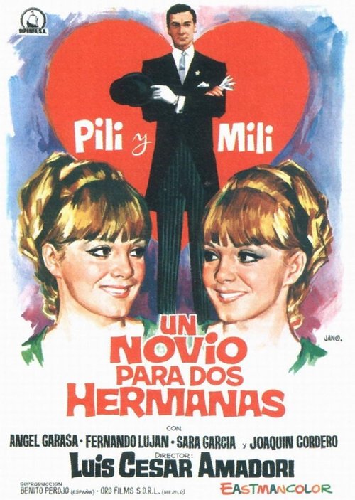 Un novio para dos hermanas постер