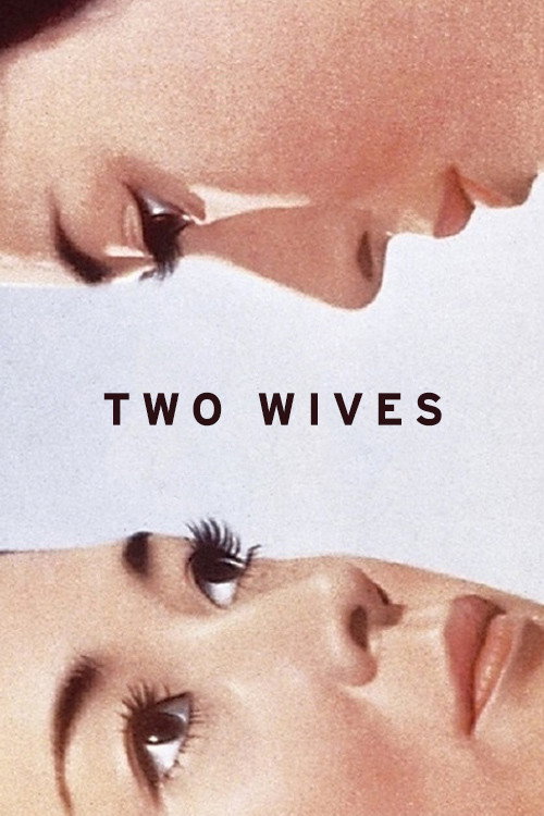 Two Wives постер
