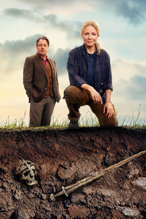 Danefæ постер