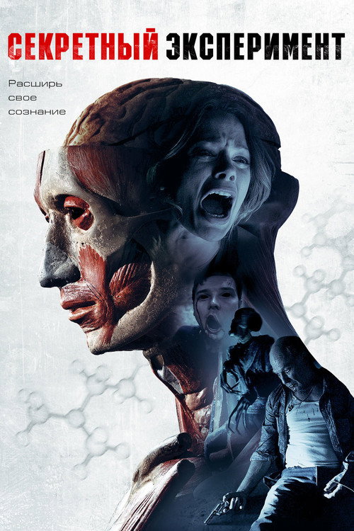 Секретный эксперимент постер