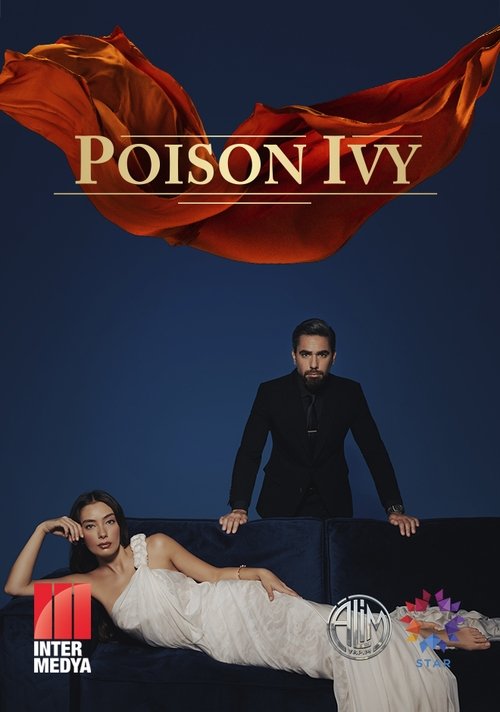 В конце ночи постер