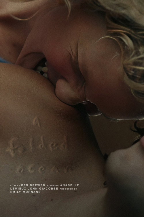 A Folded Ocean постер